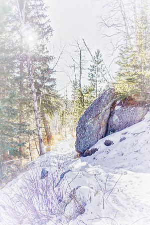 Just Off the Trail