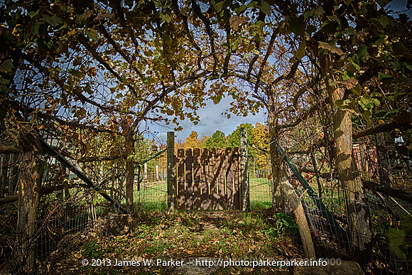 Vine Arbor