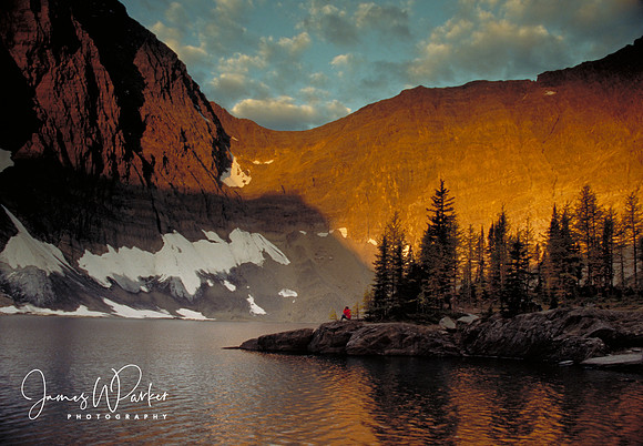 Early Morning Light