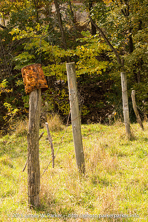 Targets and Fence