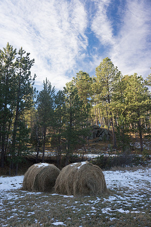 Palmer Gulch, Winter