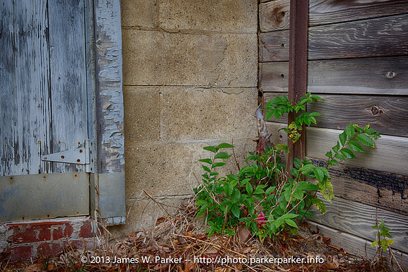 Root Cellar Detail