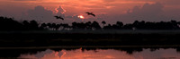 Merritt Island Panorama