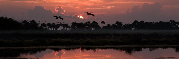 Merritt Island Panorama