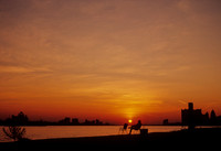 Belle Isle Fisherman