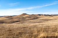Prairie Days