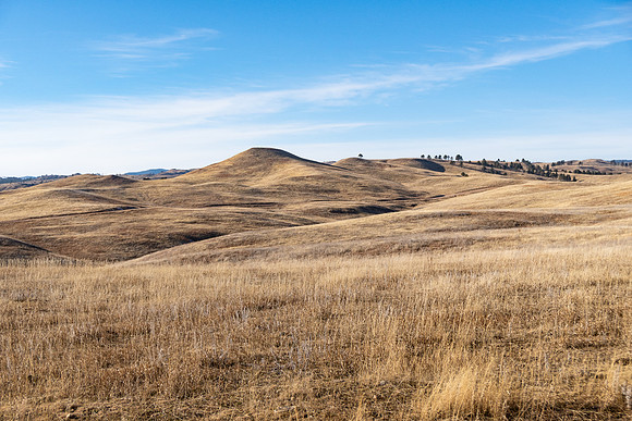 Prairie Days