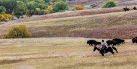 Runnin' Down a Dream (pano)