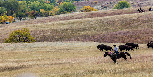 Runnin' Down a Dream (pano)