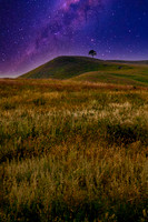 Starry NIght