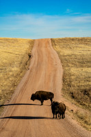 Roadblock