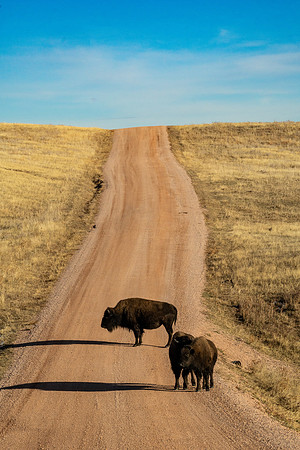 Roadblock
