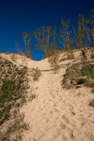 Springtime Comes to the Dunes