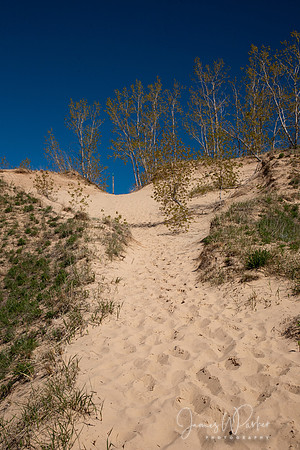 Springtime Comes to the Dunes