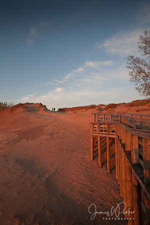 Pierce Stocking Dune Walk