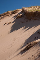 Dune Detail