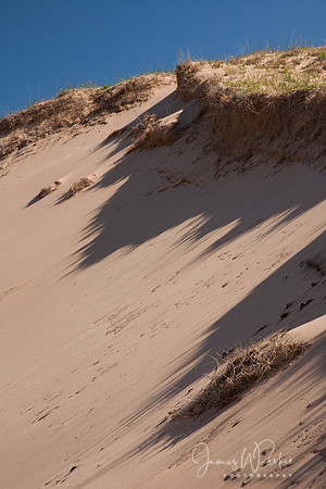 Dune Detail