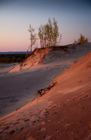 Dune Sunset