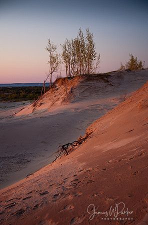 Dune Sunset