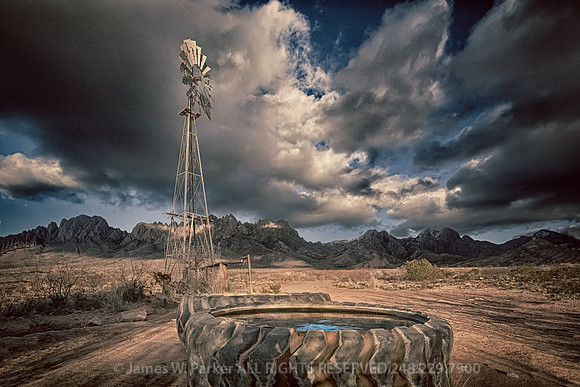 Watering Hole