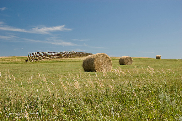 Three Bales