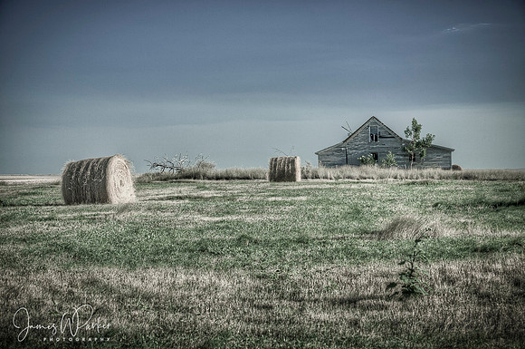 Greener Pastures