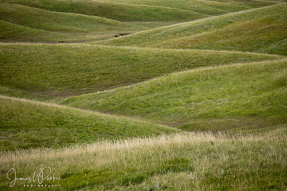 Hill and Swale