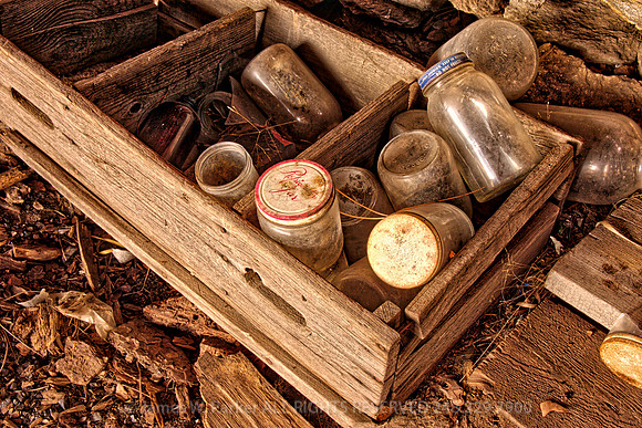 Collection