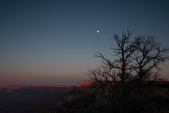 Touch the Moon