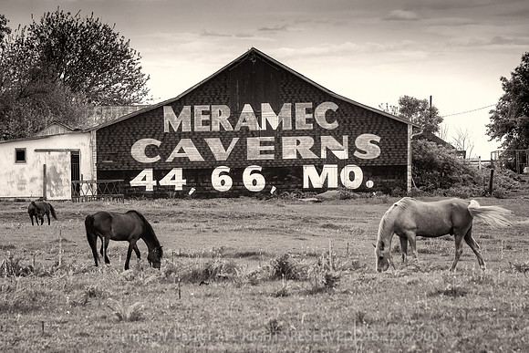 Meramec Pasture