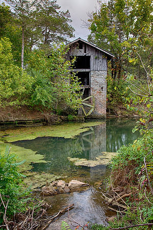 The Old Mill Pond