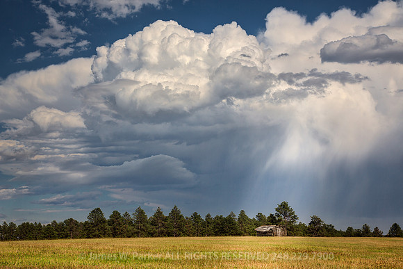 Rising Storm