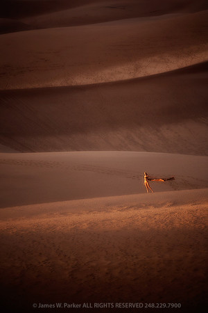 Dune Girl