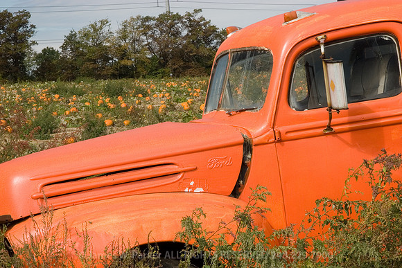 Waiting for the Great Pumpkin