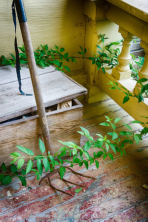 Garden Treasure