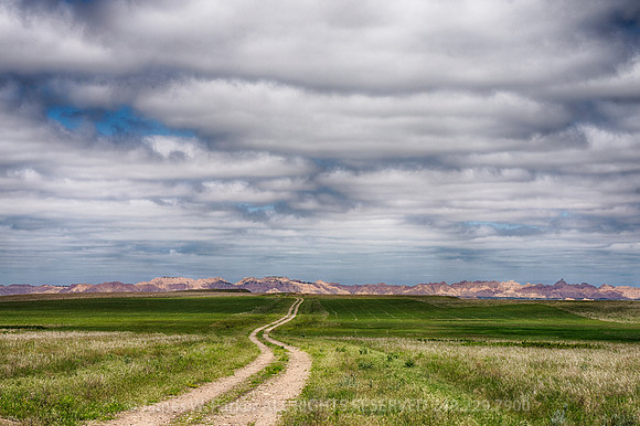 The Long Way Home