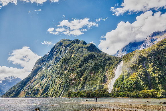 Milford Sound and Bowen Falls