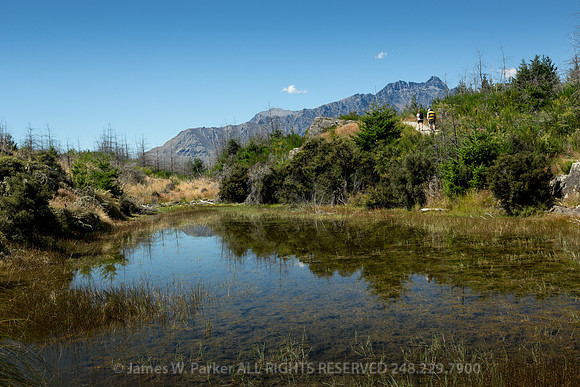 Hiking Queenstown Hill