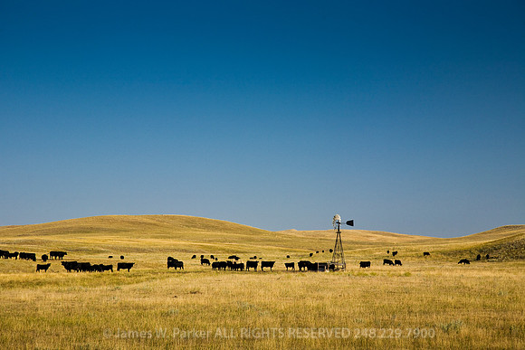 Pastureland