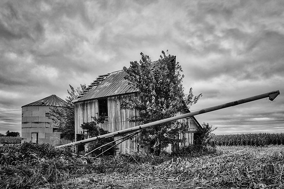 Barn and Grain Screw