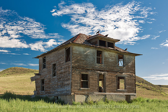 The Roost