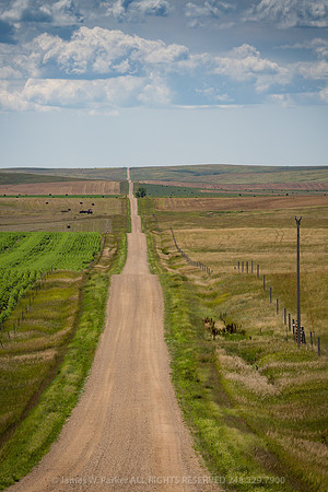 Long Road