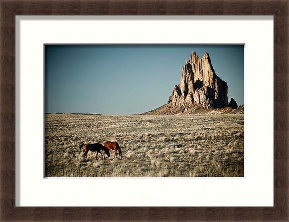 Shiprock Ponies