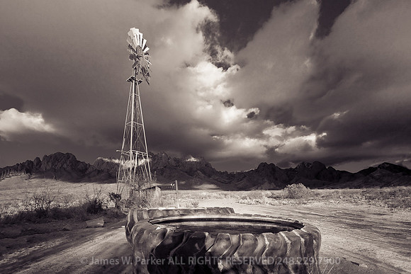 Watering Hole