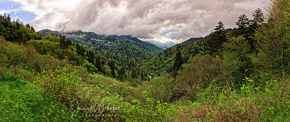 Newfound Gap Pano