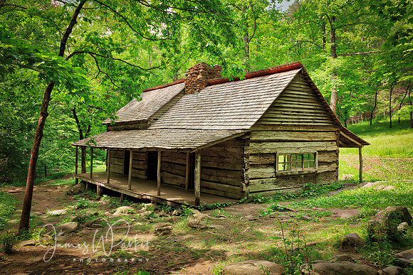 Bud's Place