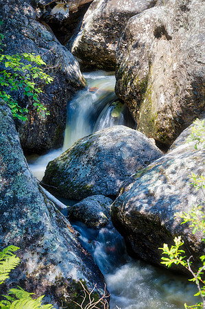 Grizzly Bear Falls 1