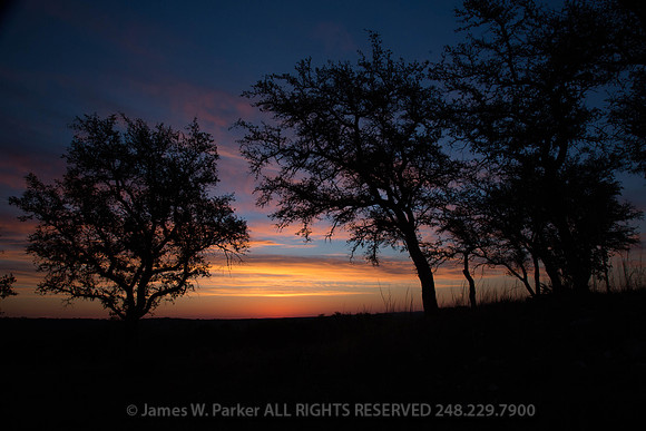 Texas Sunrise