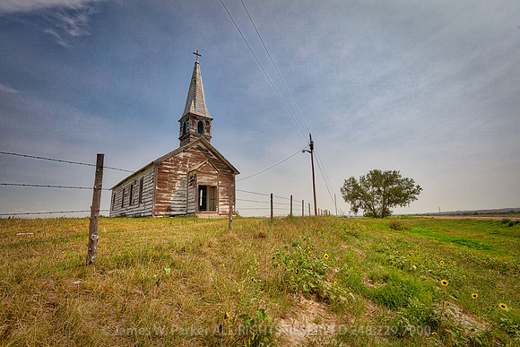 Flower of the Prairie
