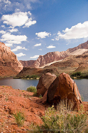 Colorado River Put-in